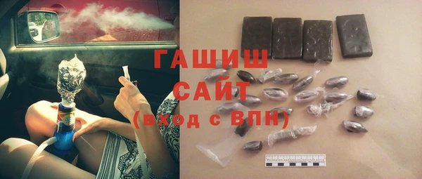 СК Туринск