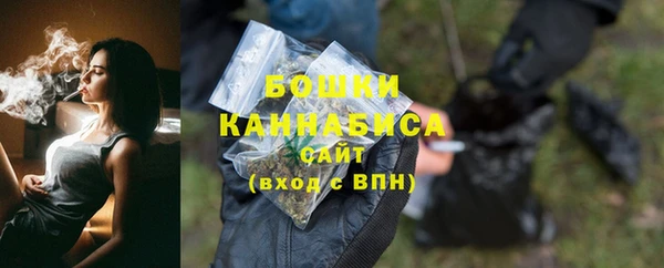 СК Туринск