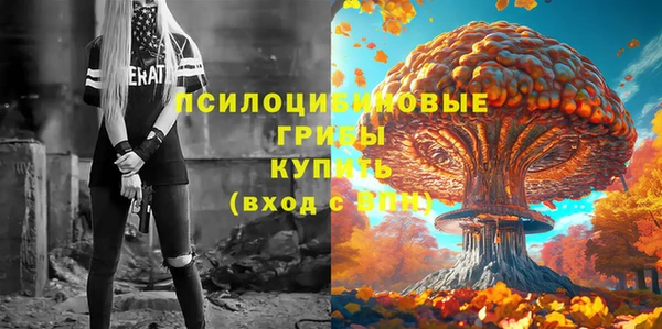 СК Туринск