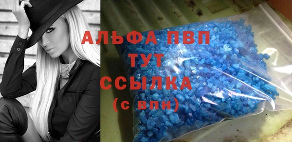 СК Туринск