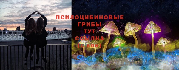СК Туринск