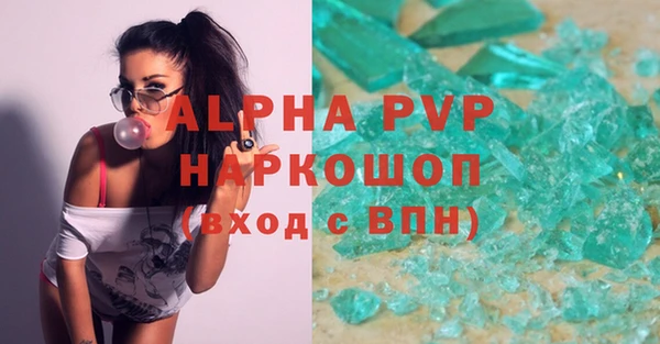 СК Туринск