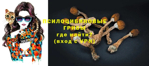 дурь Тында
