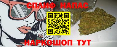 гидра Бийск