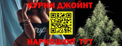 Альфа ПВП Аргун