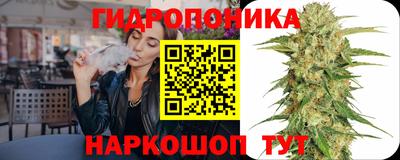 Альфа ПВП Аргун