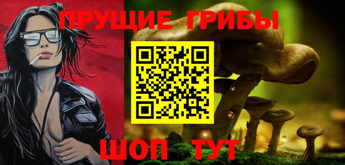 Псилоцибиновые грибы GOLDEN TEACHER  Вход с VPN  Баксан 