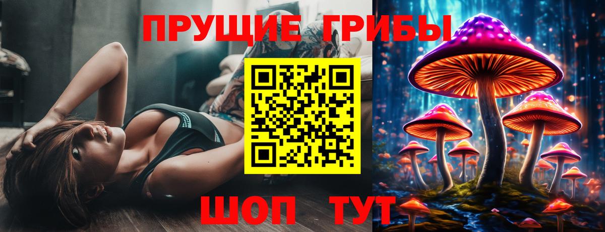 Псилоцибиновые грибы мицелий  Баксан  Псилоцибиновые грибы мицелий 